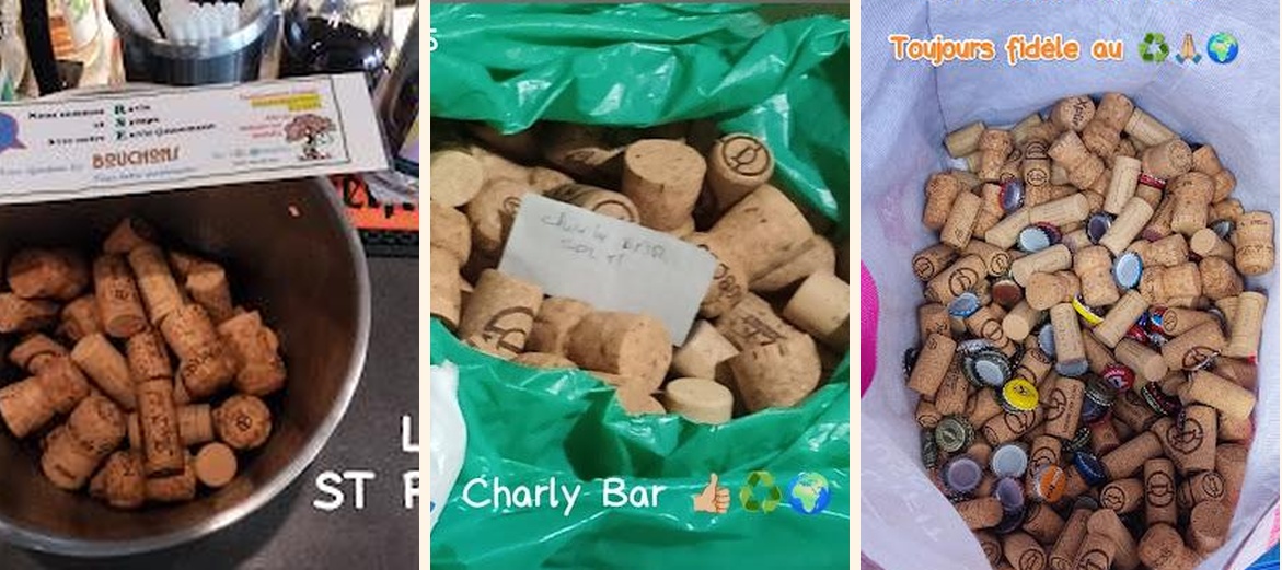 LE CHARLY BARR - Gallery Image 2